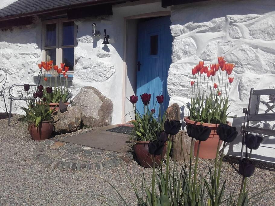 Traditional Stone Cottage With Sea Views In Snowdonia National Park Brynkir Екстериор снимка