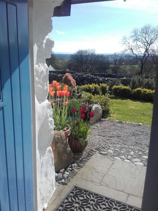 Traditional Stone Cottage With Sea Views In Snowdonia National Park Brynkir Екстериор снимка